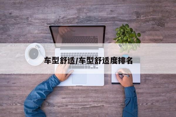 车型舒适/车型舒适度排名