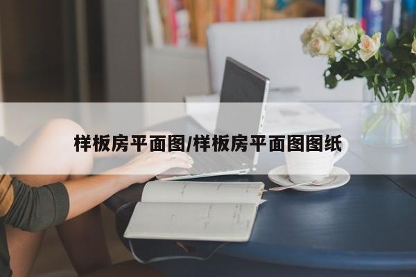 样板房平面图/样板房平面图图纸