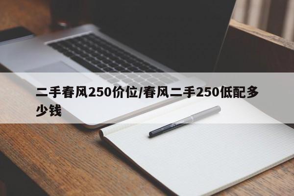 二手春风250价位/春风二手250低配多少钱