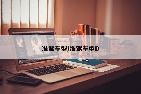 准驾车型/准驾车型D