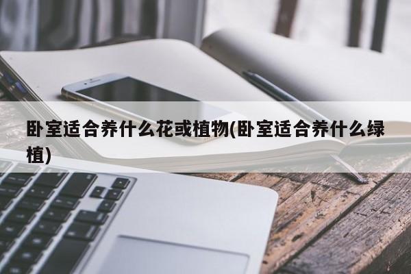 卧室适合养什么花或植物(卧室适合养什么绿植)