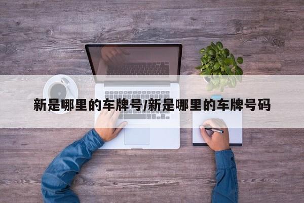 新是哪里的车牌号/新是哪里的车牌号码