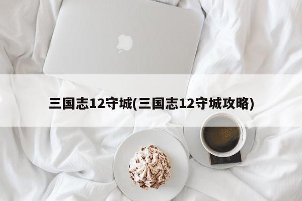 三国志12守城(三国志12守城攻略)