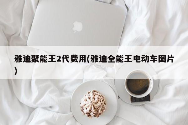 雅迪聚能王2代费用(雅迪全能王电动车图片)