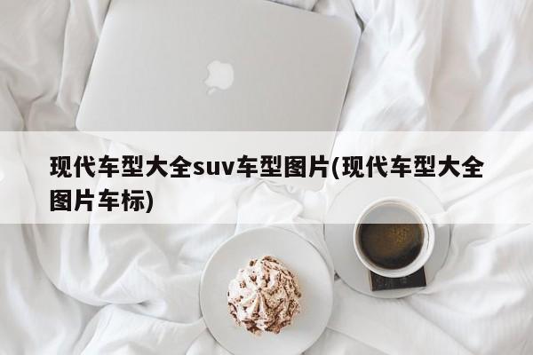 现代车型大全suv车型图片(现代车型大全图片车标)