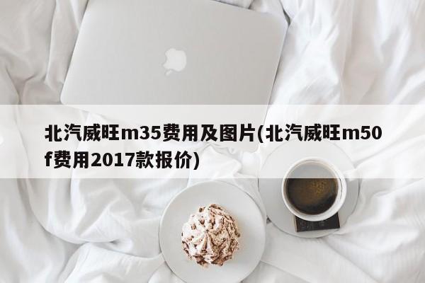 北汽威旺m35费用及图片(北汽威旺m50f费用2017款报价)