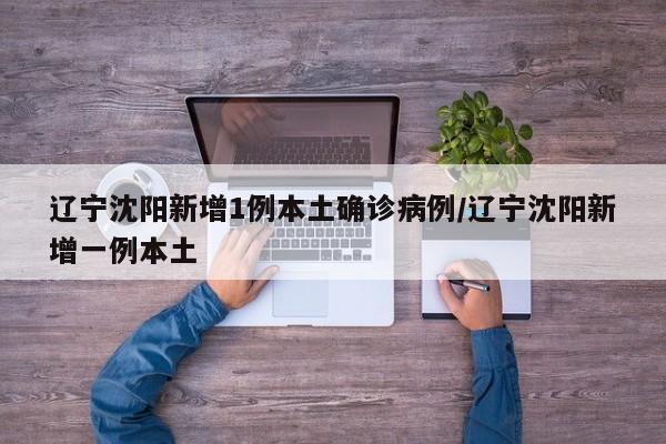 辽宁沈阳新增1例本土确诊病例/辽宁沈阳新增一例本土