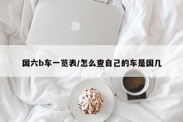国六b车一览表/怎么查自己的车是国几