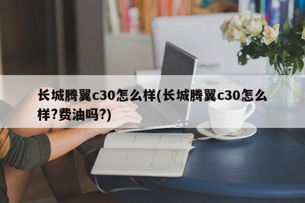 长城腾翼c30怎么样(长城腾翼c30怎么样?费油吗?)
