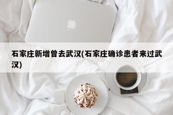 石家庄新增曾去武汉(石家庄确诊患者来过武汉)