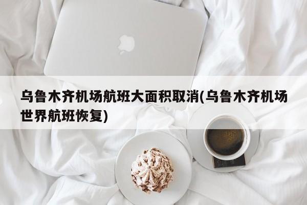 乌鲁木齐机场航班大面积取消(乌鲁木齐机场世界航班恢复)