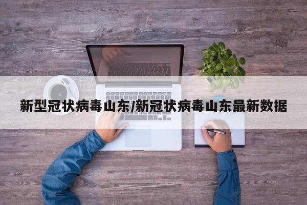 新型冠状病毒山东/新冠状病毒山东最新数据