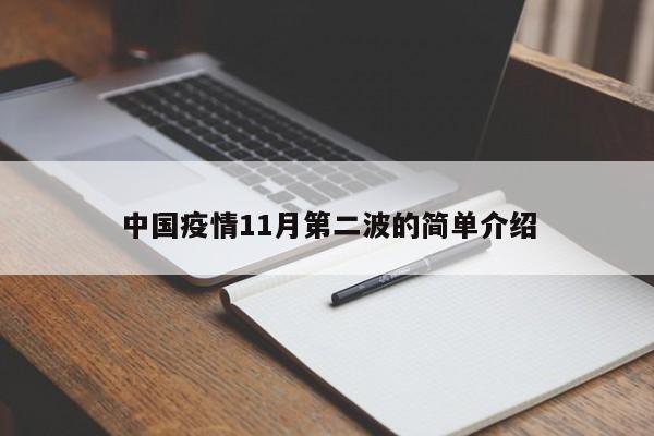 中国疫情11月第二波的简单介绍